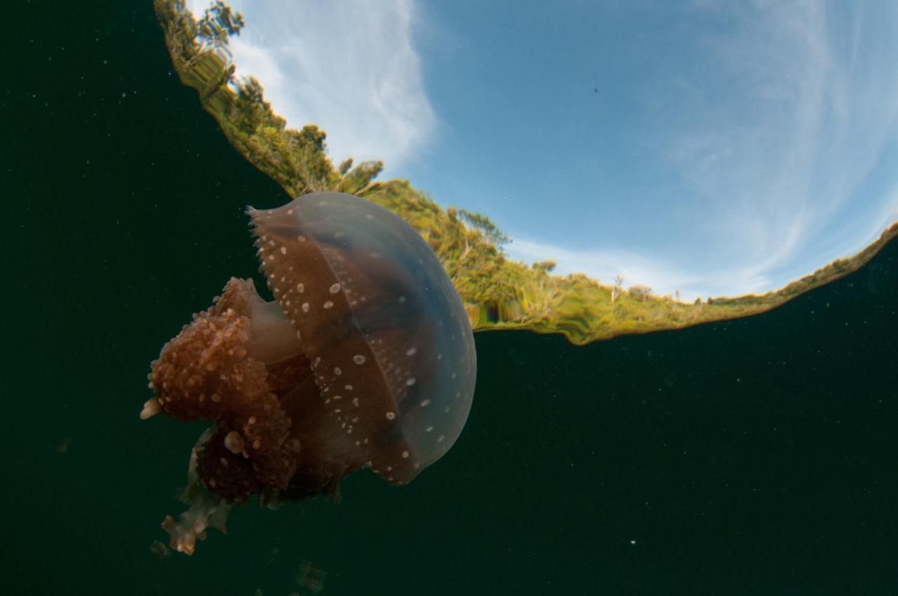 Sanctum Una Una Eco Dive Resort Pulau Unauna Exterior foto